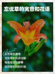 WYC.IA忘忧草TV